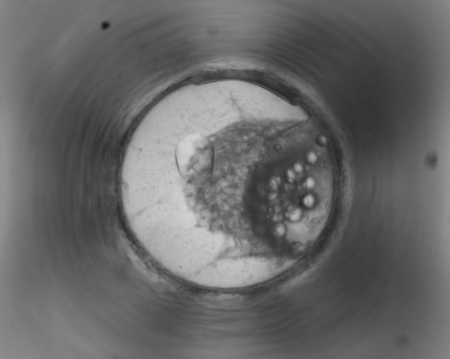 X0000115170833200911251332