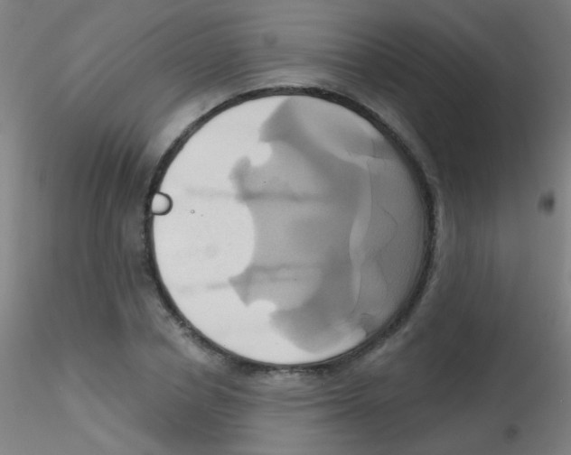 X0000115170834200911251332