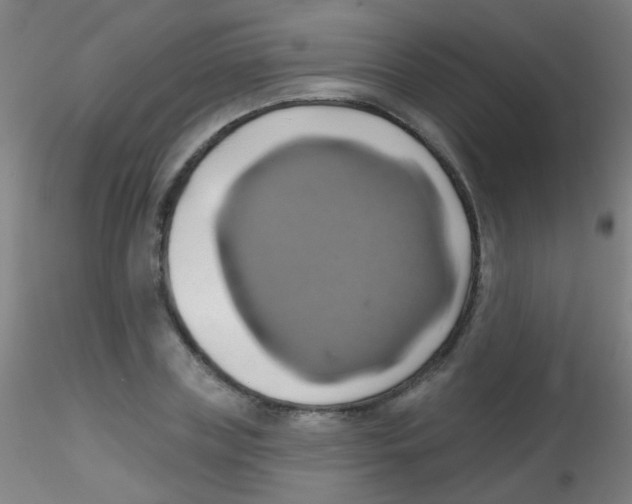 X0000115170835200911251332