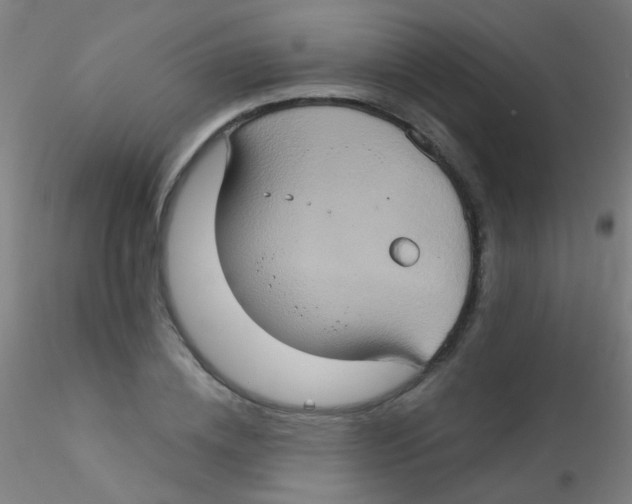 X0000115170836200911251332