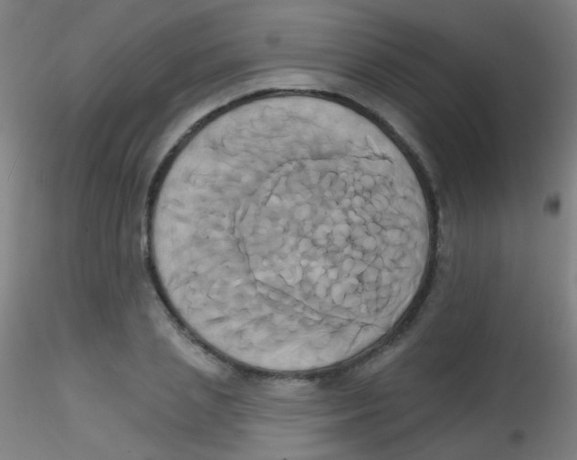 X0000115170837200911251332