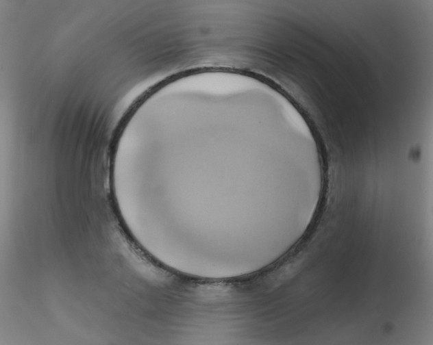 X0000115170838200911251332