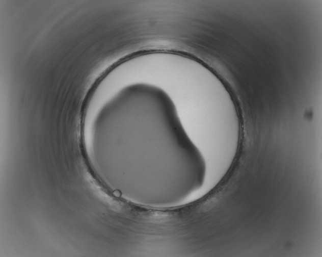 X0000115170839200911251332