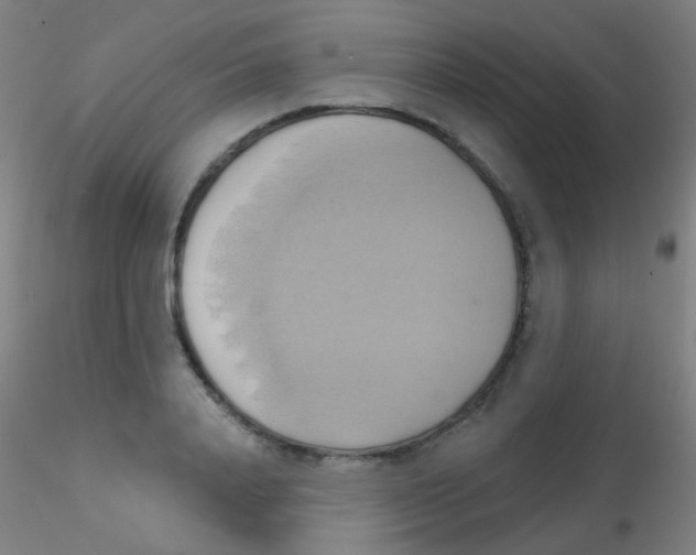 X0000115170840200911251332