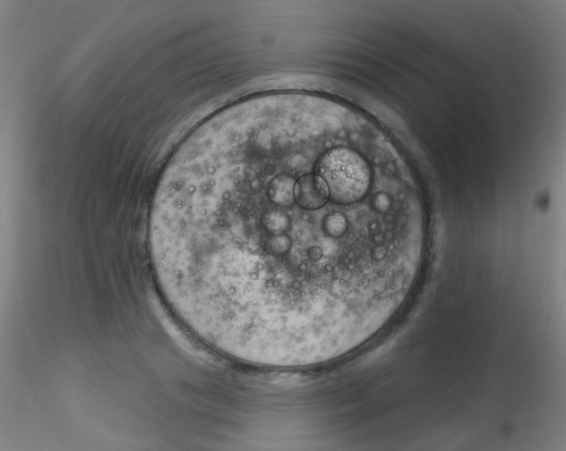 X0000115170841200911251332