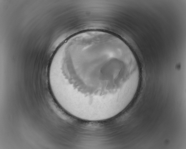 X0000115170842200911251332