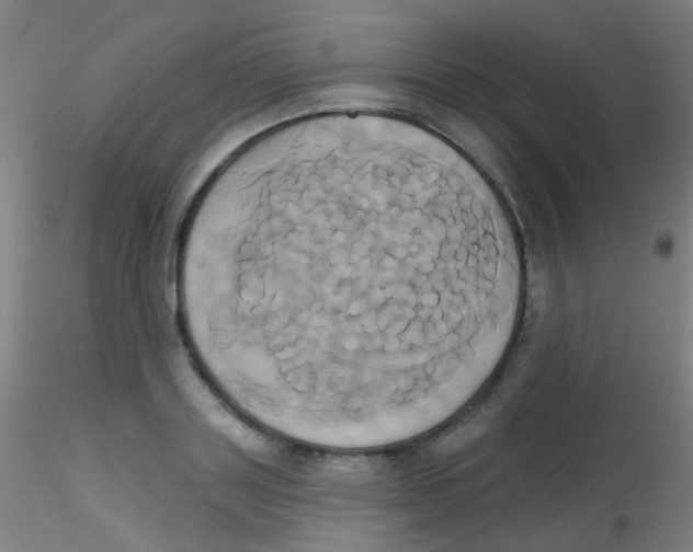 X0000115170843200911251332