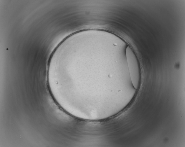 X0000115170844200911251332