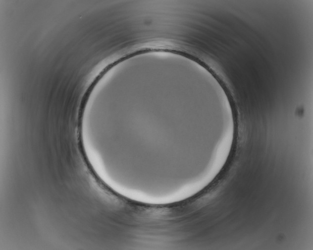 X0000115170845200911251332