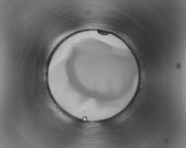 X0000115170846200911251332