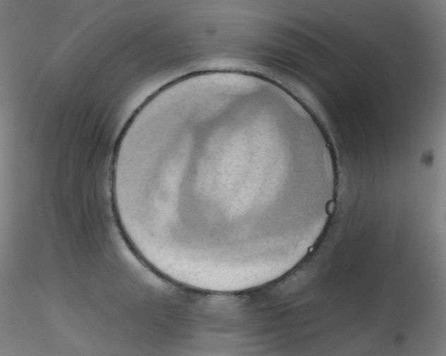 X0000115170847200911251332