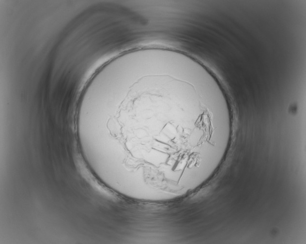 X0000115170848200911251332