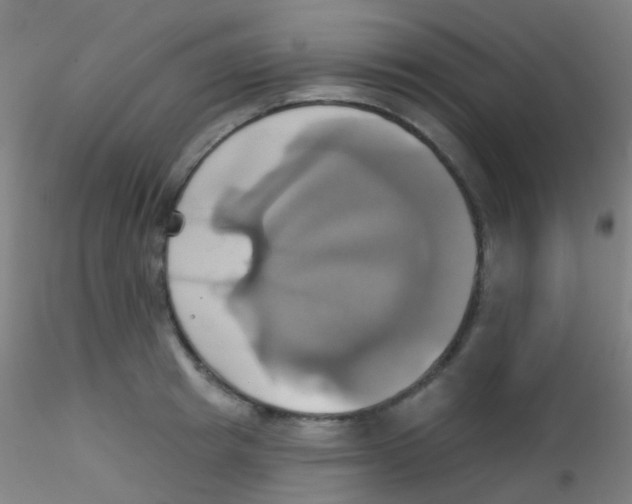 X0000115170849200911251332