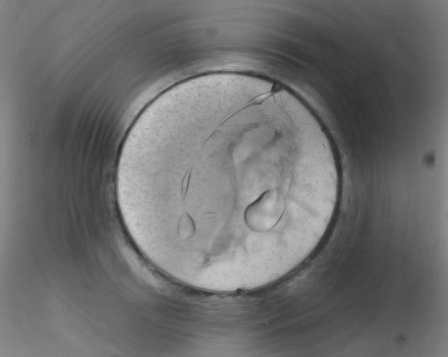 X0000115170850200911251332