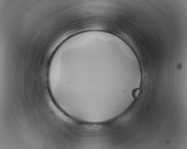 X0000115170851200911251332