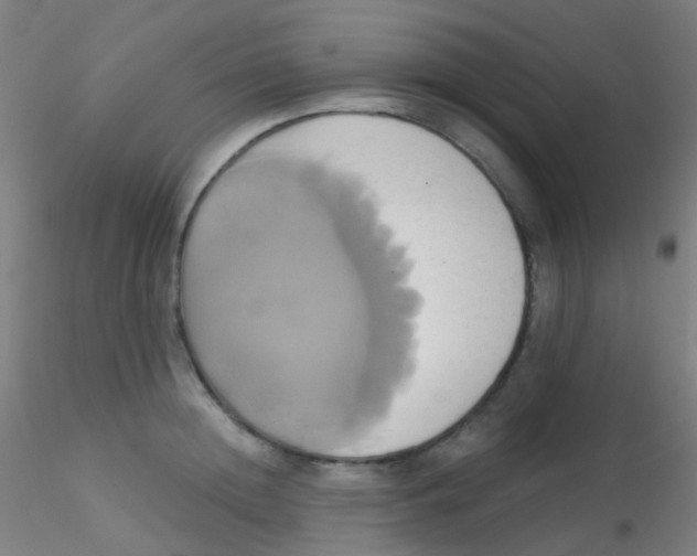 X0000115170852200911251332