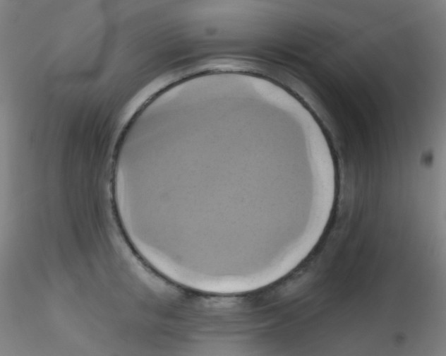 X0000115170853200911251332