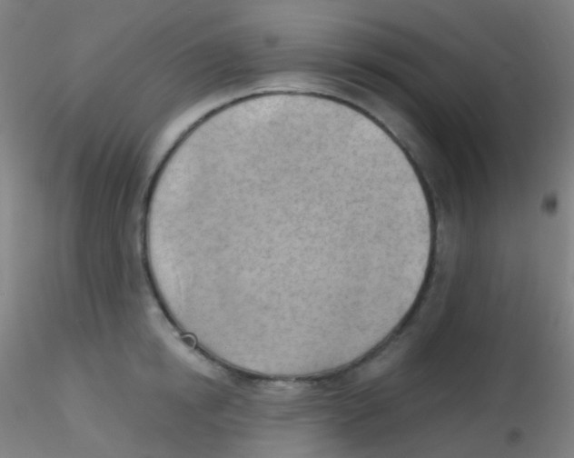 X0000115170854200911251332