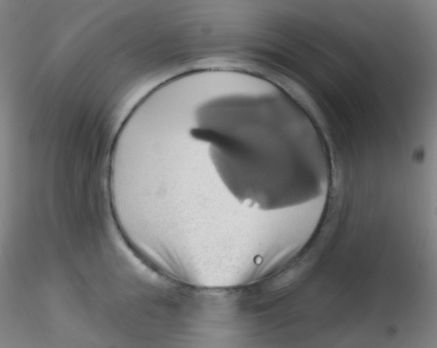 X0000115170855200911251332