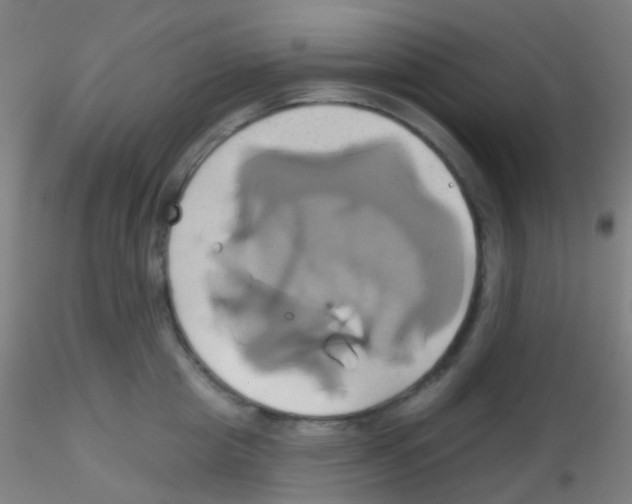 X0000115170857200911251332