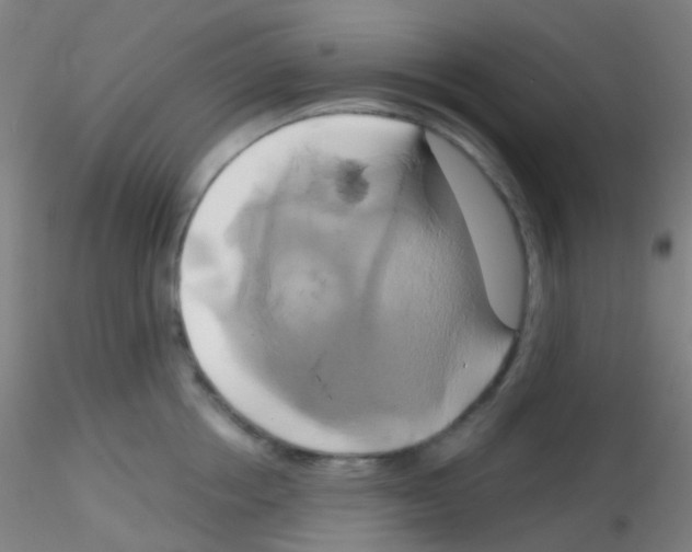 X0000115170858200911251332