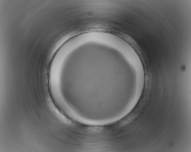 X0000115170859200911251332