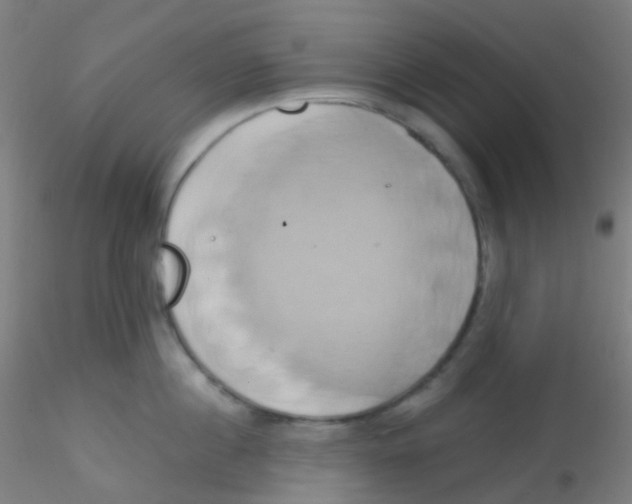 X0000115170860200911251332