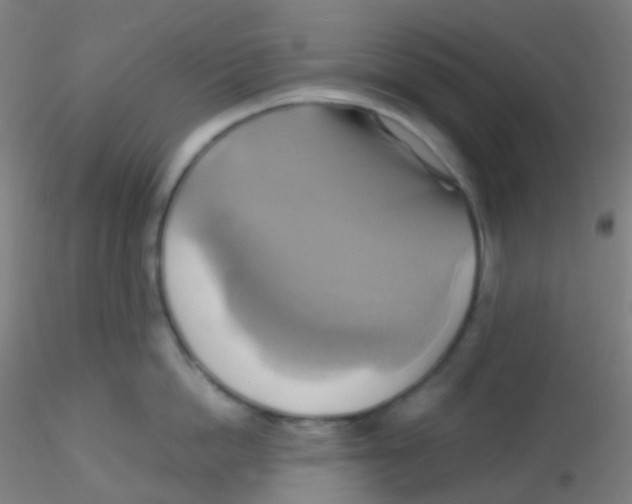 X0000115170862200911251332