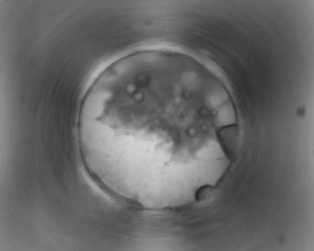 X0000115170863200911251332