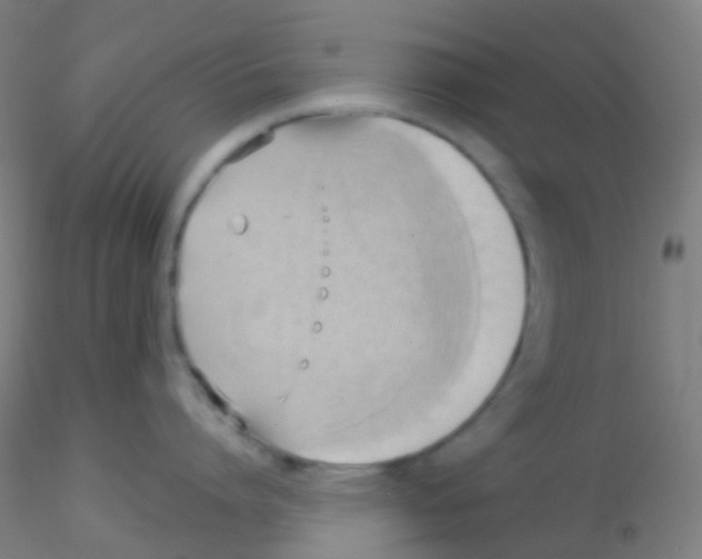 X0000115170864200911251332