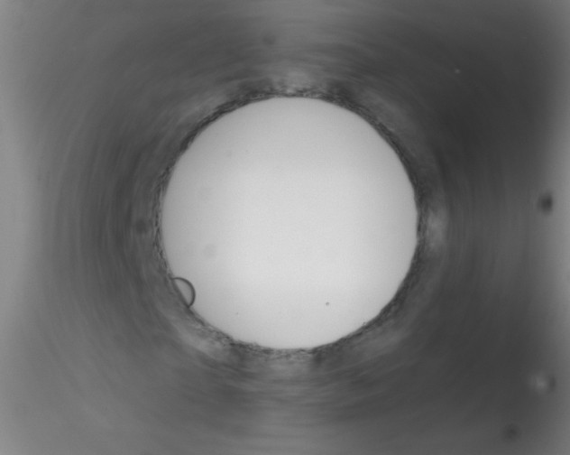 X0000115170865200911251332