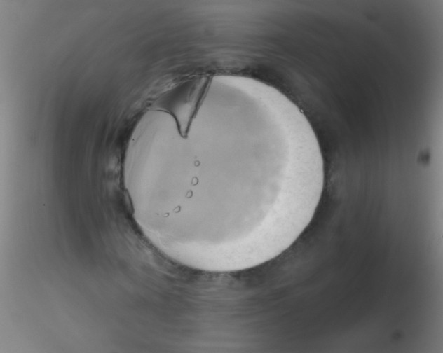 X0000115170866200911251332