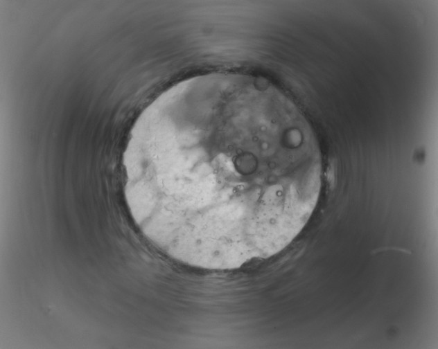 X0000115170867200911251332