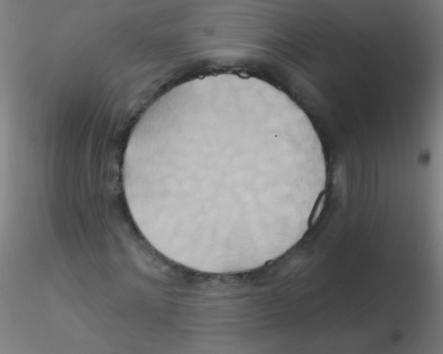 X0000115170868200911251332