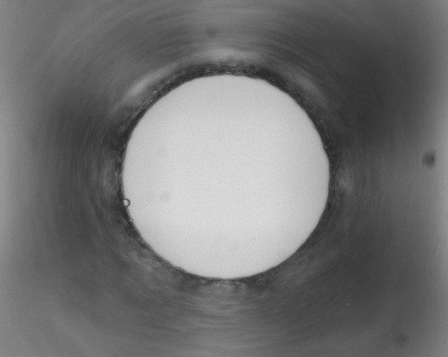 X0000115170869200911251332