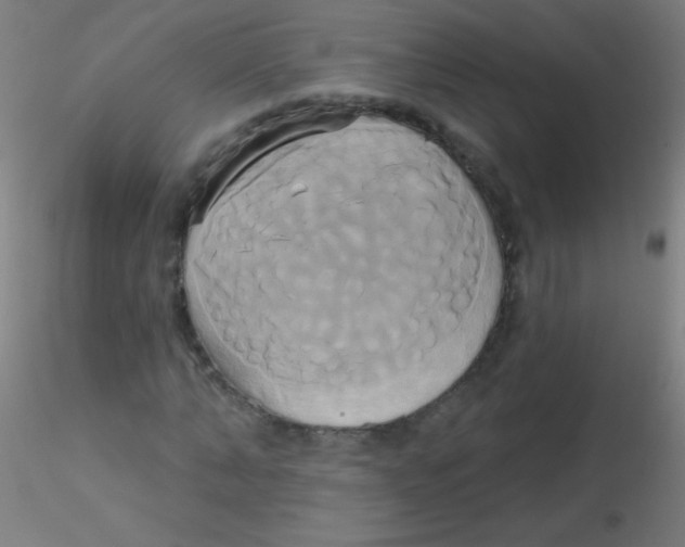 X0000115170870200911251332