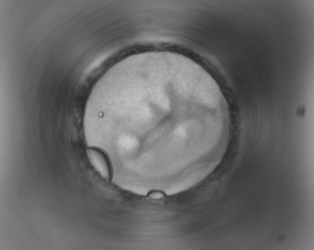 X0000115170871200911251332