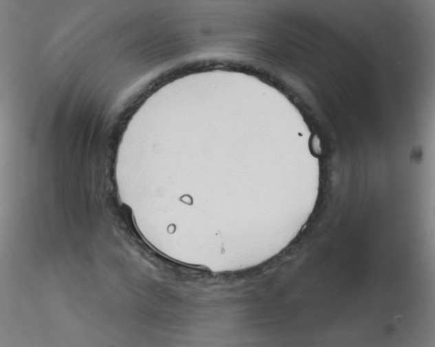 X0000115170872200911251332