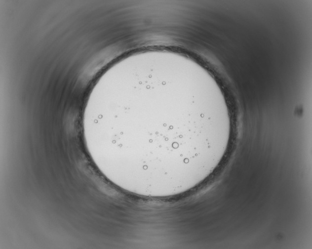 X0000115170873200911251332