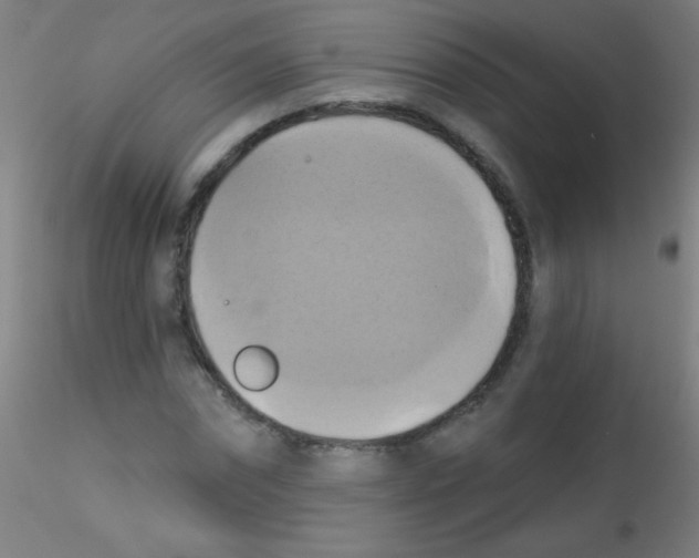 X0000115170874200911251332