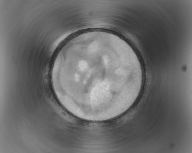 X0000115170875200911251332