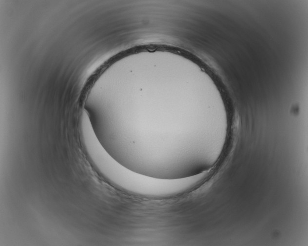 X0000115170877200911251332