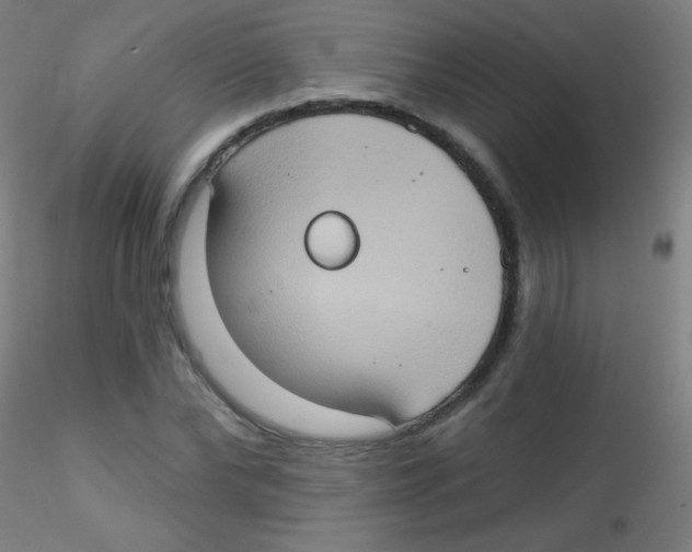 X0000115170878200911251331