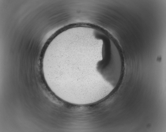 X0000115170879200911251331