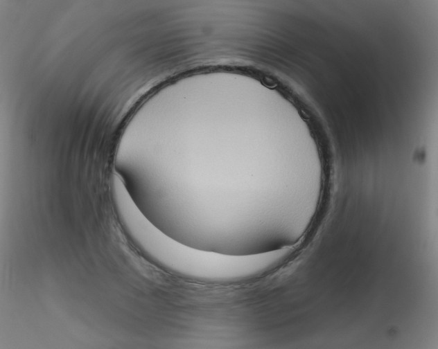 X0000115170881200911251331