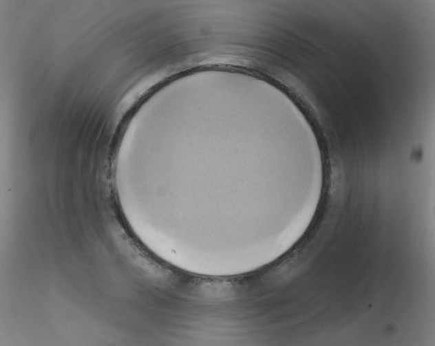 X0000115170882200911251331