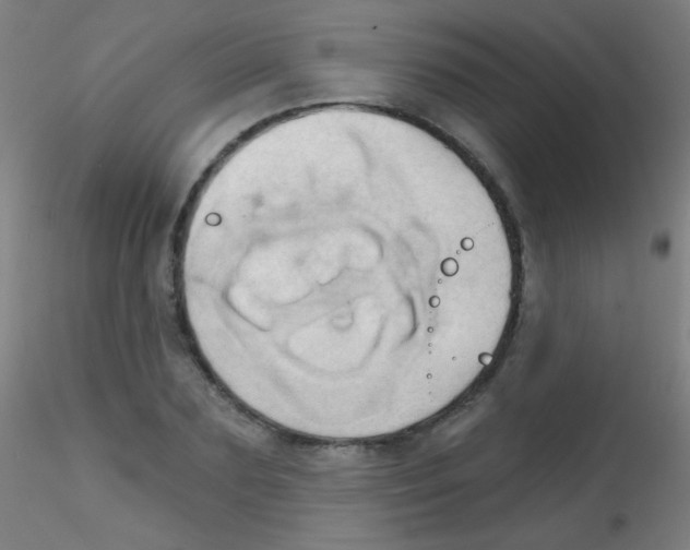 X0000115170883200911251331