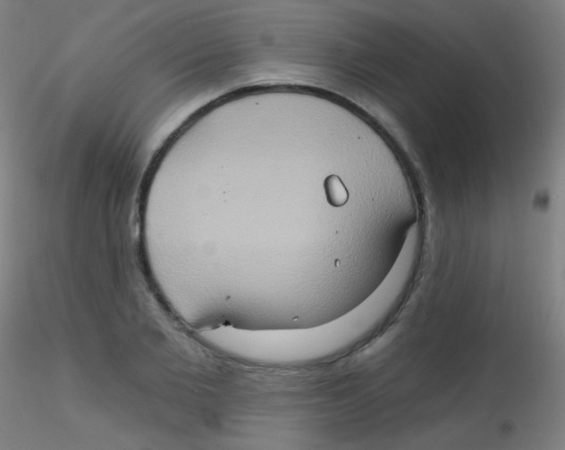 X0000115170885200911251331