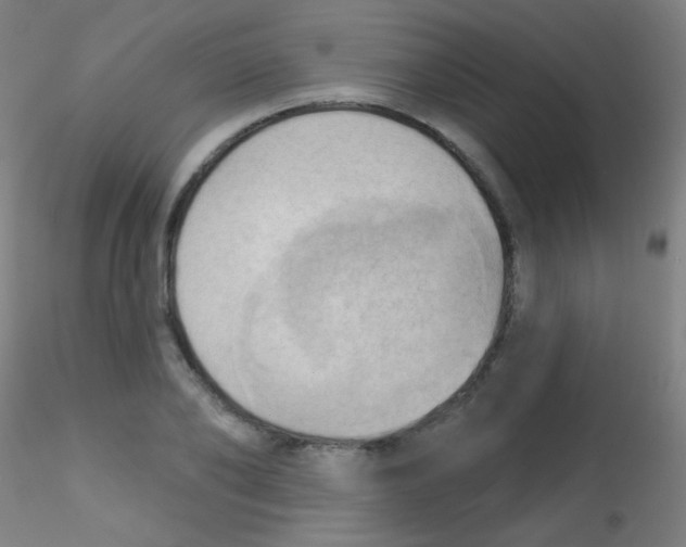 X0000115170886200911251331