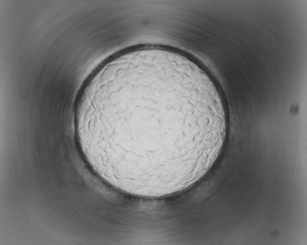 X0000115170887200911251331